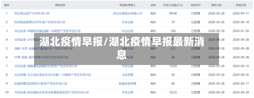 湖北疫情早报/湖北疫情早报最新消息