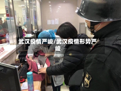 武汉疫情严峻/武汉疫情形势严峻
