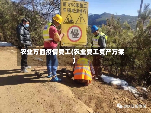 农业方面疫情复工(农业复工复产方案)