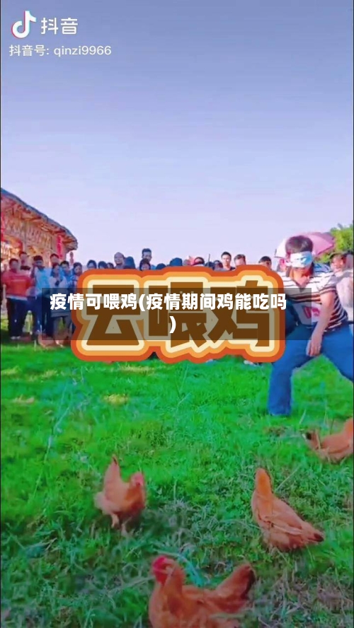 疫情可喂鸡(疫情期间鸡能吃吗)