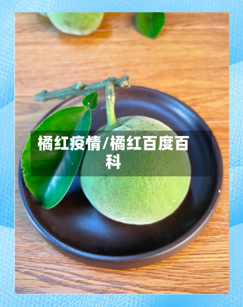 橘红疫情/橘红百度百科